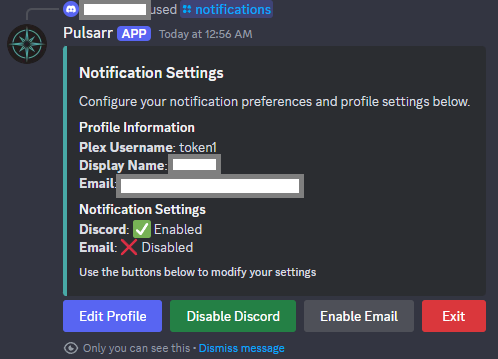 Discord Settings